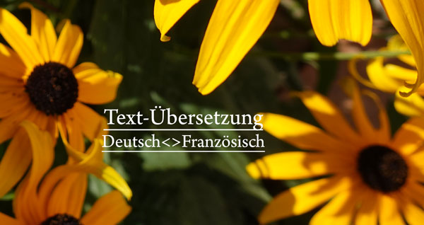 Texte übersetzen lassen – Französisch – Deutsch – Französisch